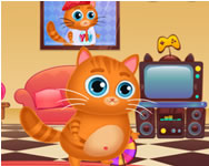 Lovely virtual cat jtkok ingyen